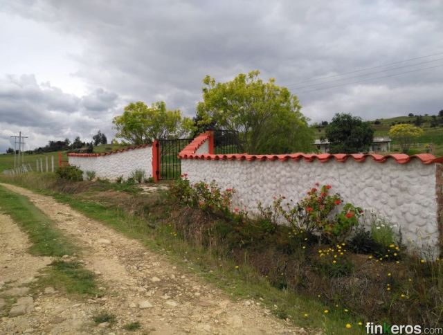 FINCA LA FRONDOSA - Finca en Toca, Boyacá